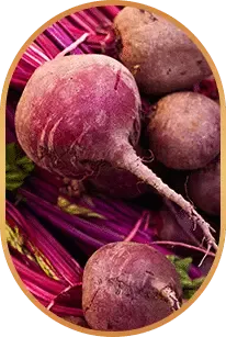 beetroot natural ingredient used in Liv Pure for energy metabolism and wellness support