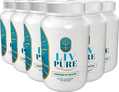 Liv Pure six bottle package